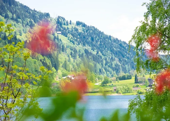 Apartament Seeappartement 